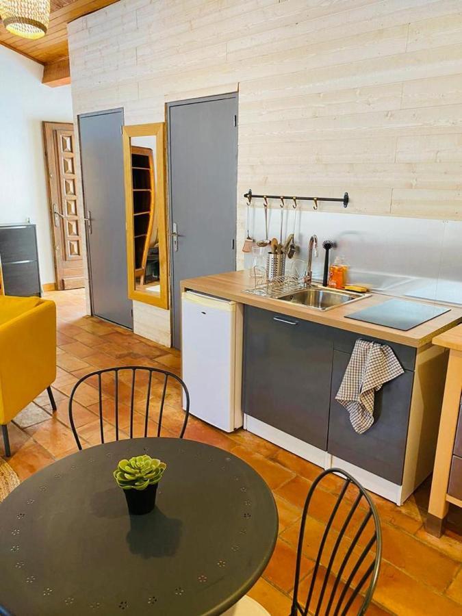 Studio Ile De La Barthelasse A Deux Pas Du Centre Avignon Luaran gambar